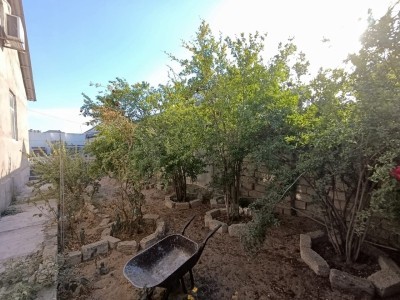image 371984