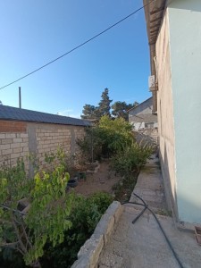 image 371984