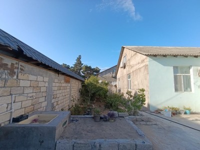 image 371984