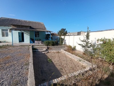 image 371984
