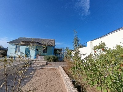 image 371984