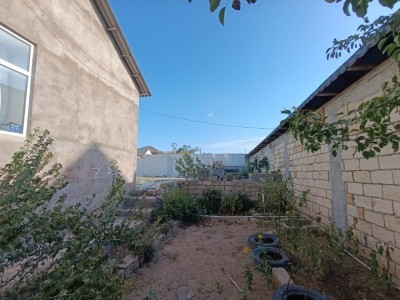 image 371984