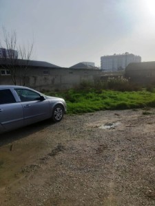 image 372004