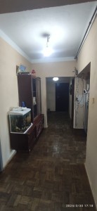image 372009