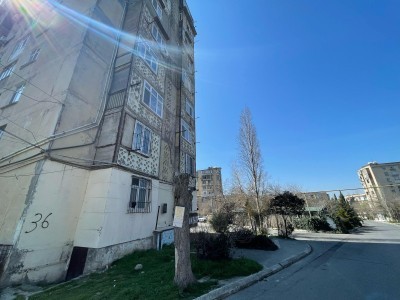 image 372011