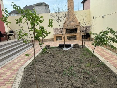 image 372012