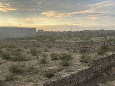 image 372033