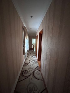 image 372037
