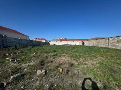 image 372074
