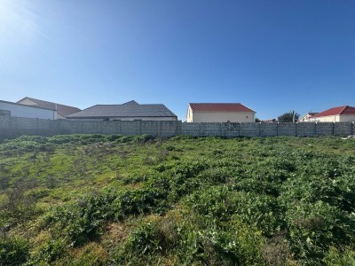 image 372074