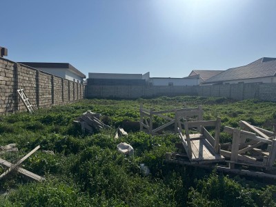 image 372074