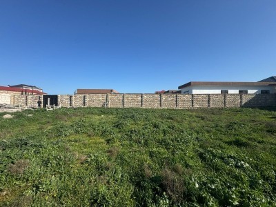 image 372074