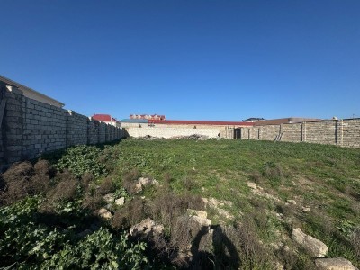 image 372074