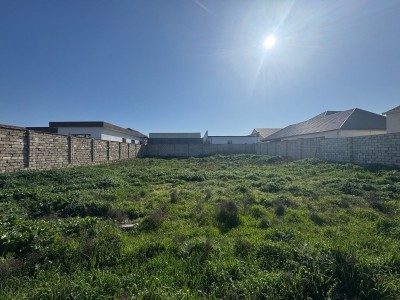image 372074