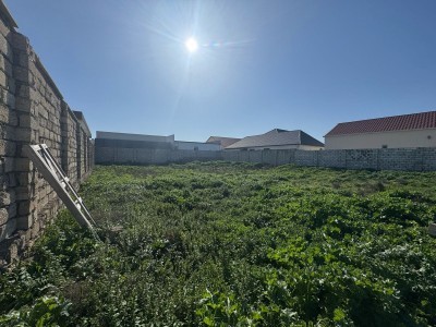 image 372074