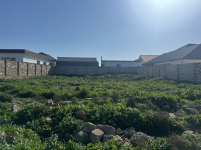 image 372074