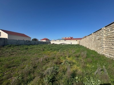 image 372074