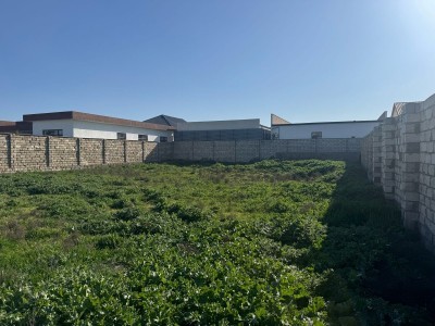 image 372074