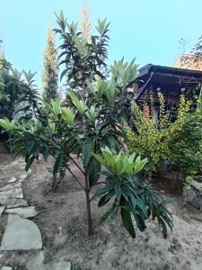 image 372080