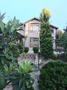 image 372080