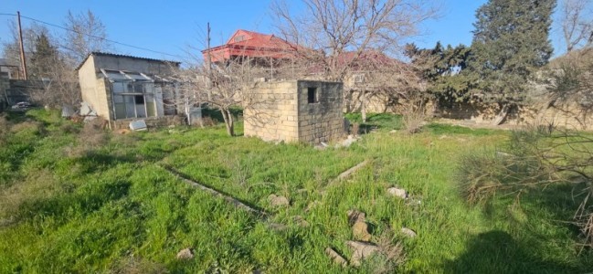 image 372089