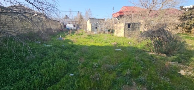 image 372089