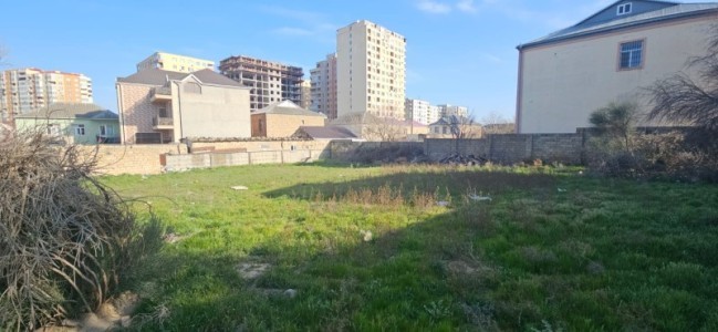 image 372089