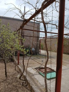 image 372168