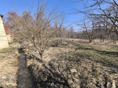 image 372310