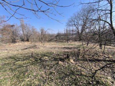 image 372310
