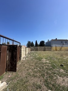 image 372345