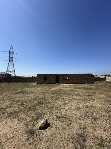 image 372345