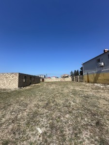 image 372345
