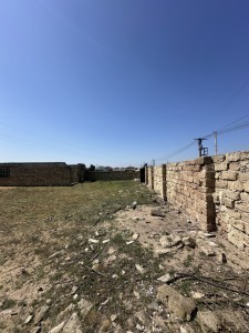 image 372345