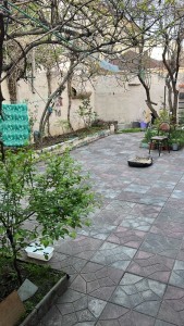 image 372372