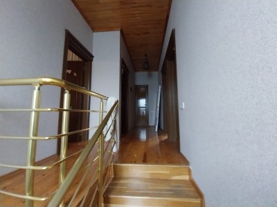 image 372461