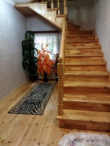 image 372500