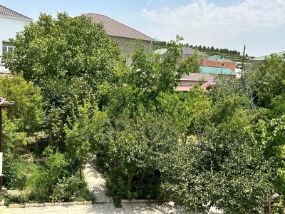 image 372510