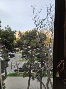image 372518