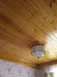 image 372565