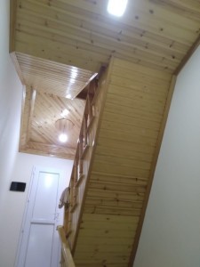 image 372565