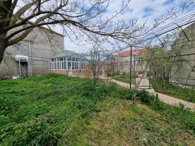 image 372595