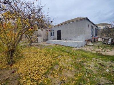 image 372629