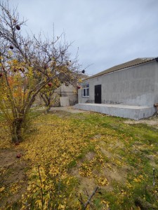 image 372629
