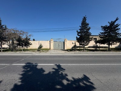 image 372645
