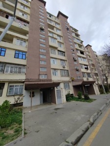 image 372685