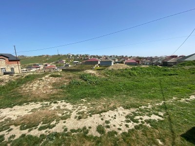 image 372692