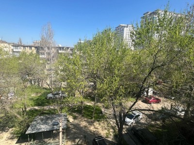 image 372704