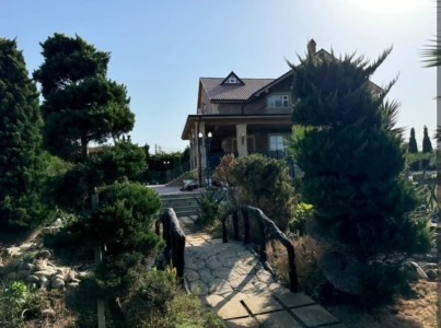 image 372804