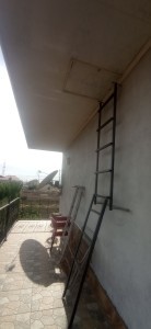image 372824